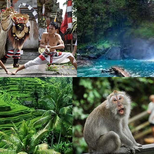 Bali: 1 Day Tour to Discover Waterfall - Sacred Temple - Coffee Plantation - Rice Terrace - Monkey Forest