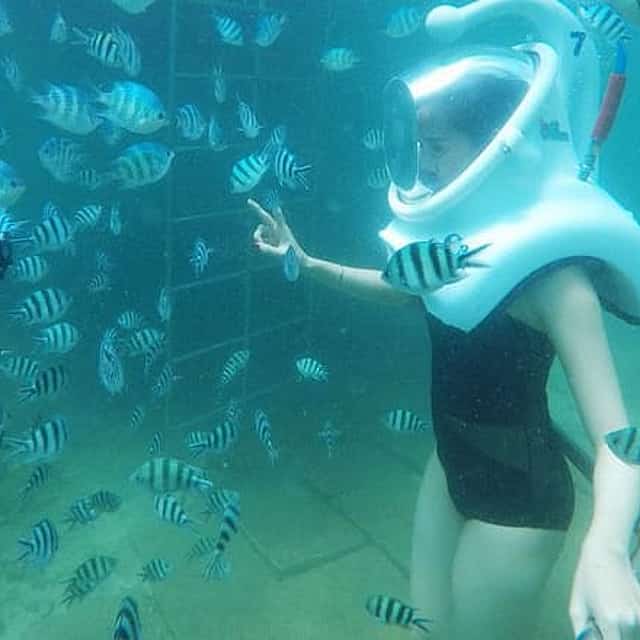 2-Day Hoi An and Cham Island Private Guided Tour with Sea Trek