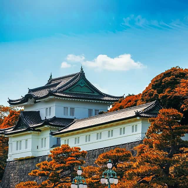Excursión Privada por Tokio con Guía en Transporte Público
