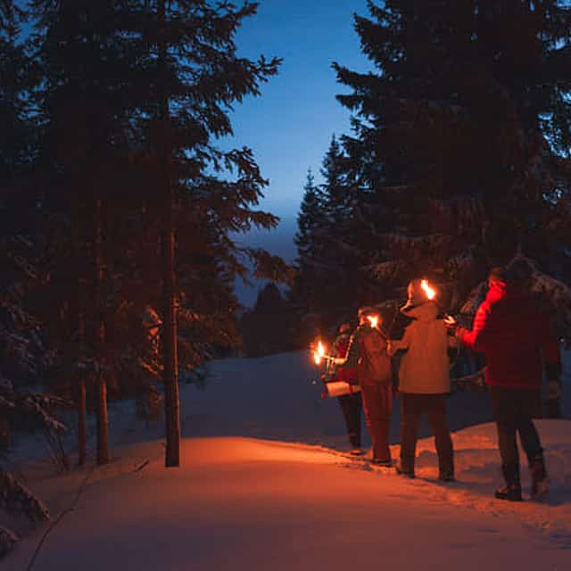 Winter Forest Walk & Campfire by Torchlight