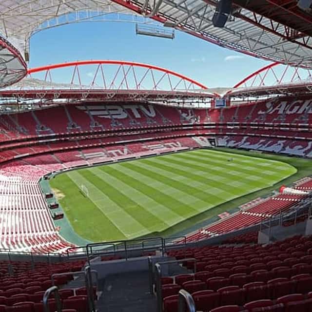 Visite privée du stade et du musée de Benfica