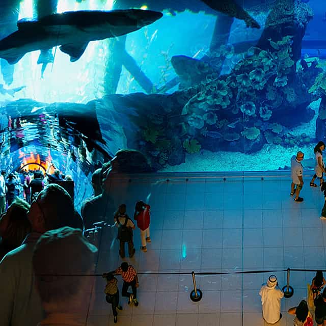 Burj Khalifa 124/125th Floor Visit, Dubai Mall Shopping, Aquarium & Zoo Visit & Marina Dhow Cruise with Dinner