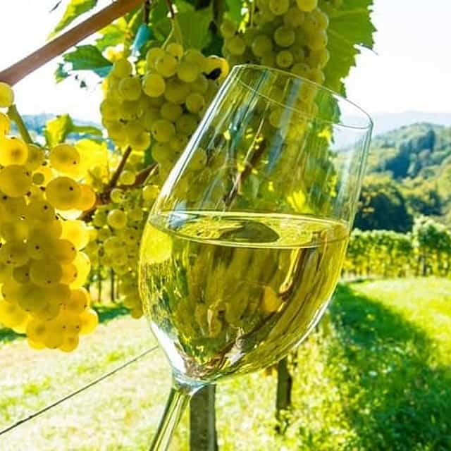 Nice to Antibes St Paul de Vence Private Wine Tour