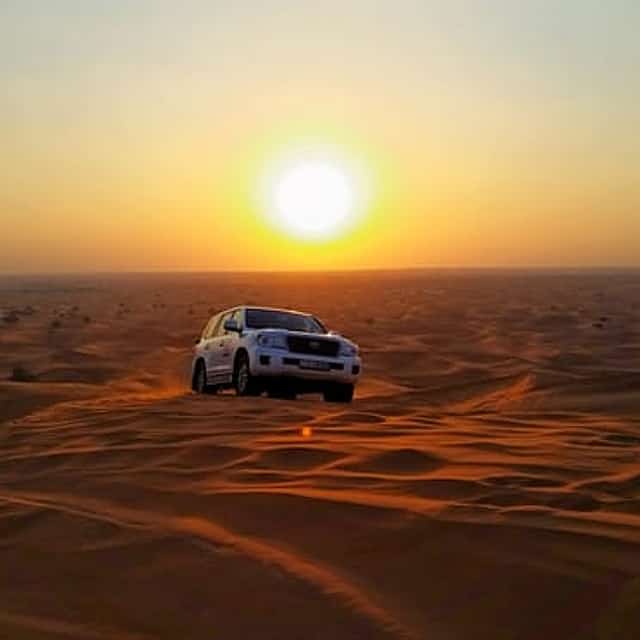 Réservez une excursion d'une demi-journée en safari dans le désert au départ de Dubaï