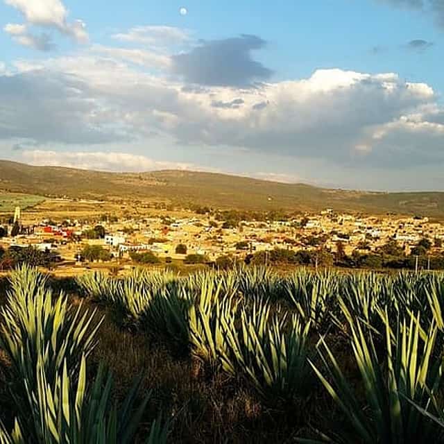 Private transfer San Miguel de Allende to Tequila with 2 hours for sightseeing