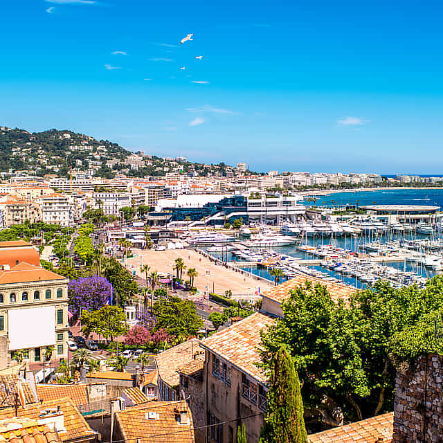 Cannes, Antibes and Saint Paul de Vence Private Half-day Tour