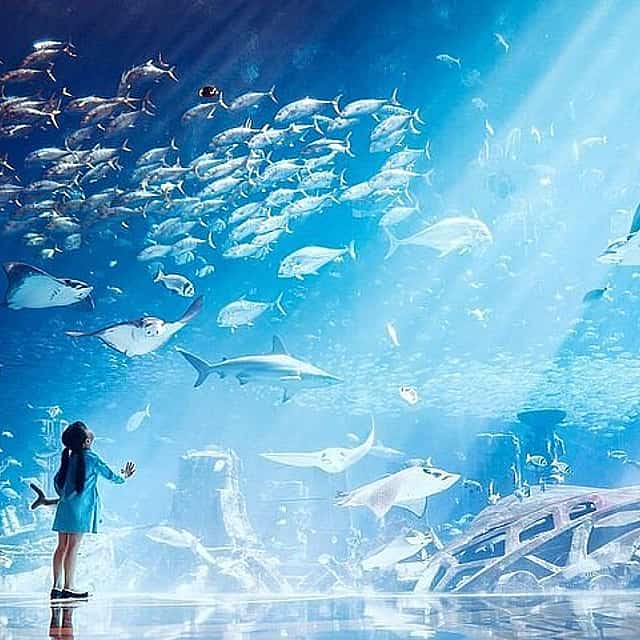 Vstupenky do akvaparku Aquaventure & Lost Chambers v Dubai Atlantis