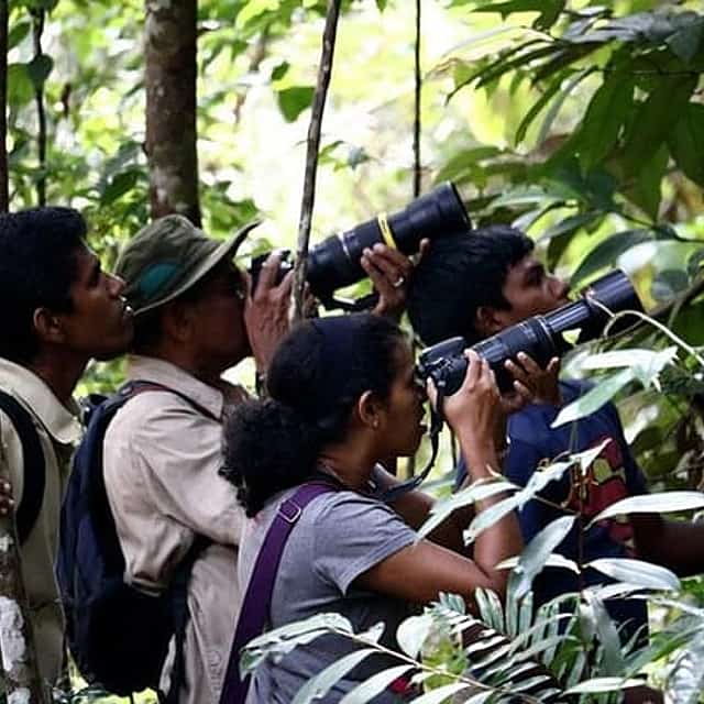 Birdwatching Walk in Sigiriya Countryside