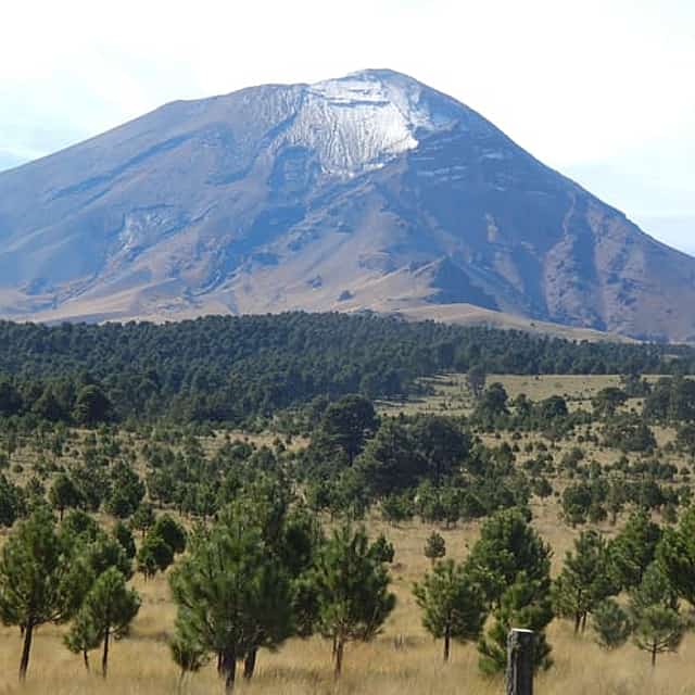 Parque Izta-Popo | Volcanes – Tour Semi-privado