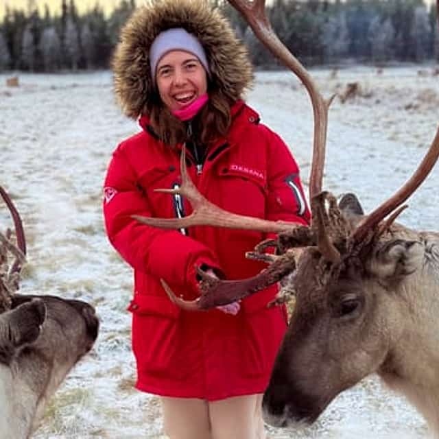 Super reindeer safari