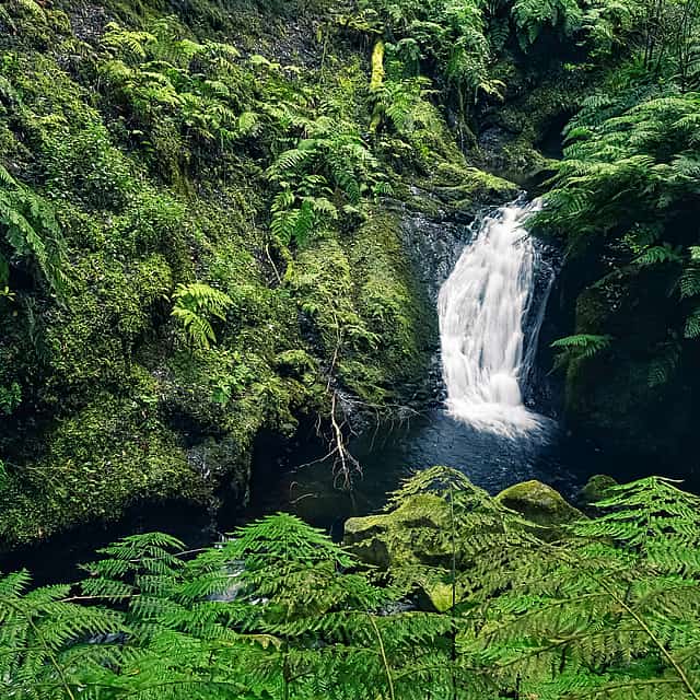 Levada del Rey, Recorrido a pie de un día por Rincones Ocultos