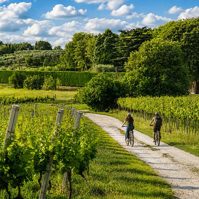 E-Bike Tour and Wine Tasting from Bardolino