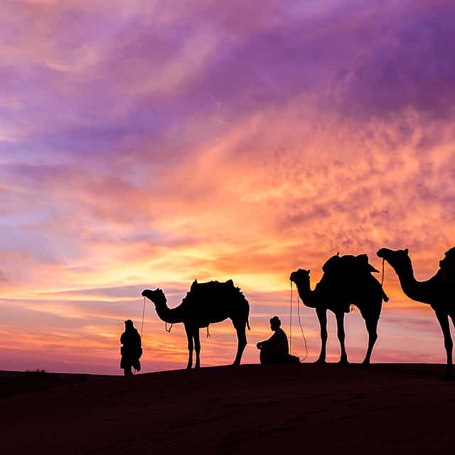 Desert Safari Dubai without Dune Bashing