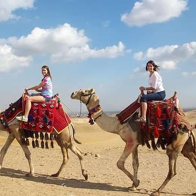 Layover Tour from Cairo Airport to visit the Pyramids Private