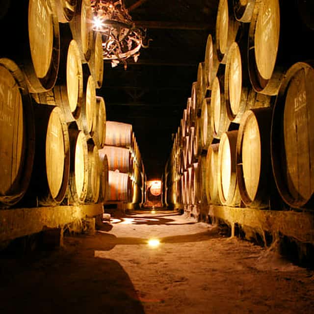 Arrabida Wine Tour from Lisbon: Wineries, Tastings & Tile Factory (group tour)