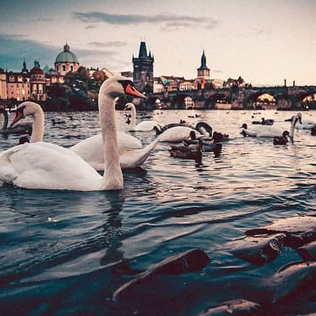 Budapest to Prague - Private Transfer with 2 hours of Sightseeing