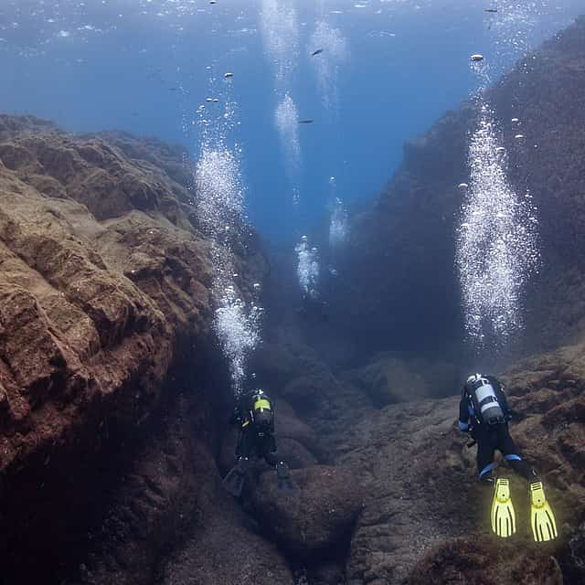 Become a Certified Open Water Diver from Azores - Pico Island  - Your Underwater Adventure Starts Here!