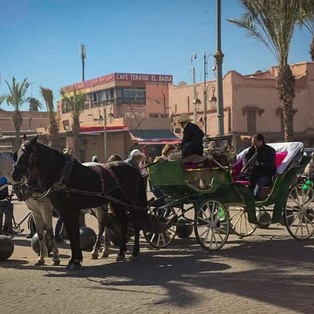 Horse Carriage Ride in Marrakech