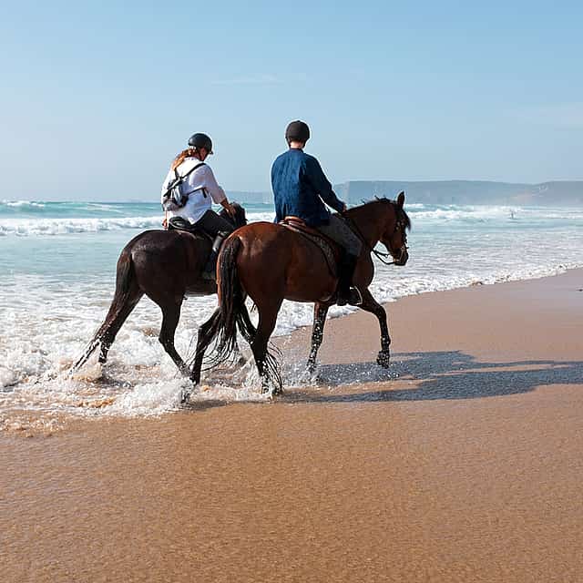 Agadir Horse Riding and Flamingo River