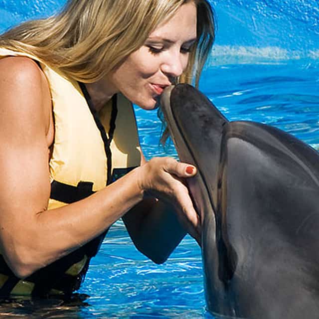 "Delfin gösterisi deneyimi Side'den"
