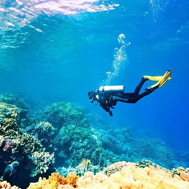 Scuba Diving in Santorini - One Dive