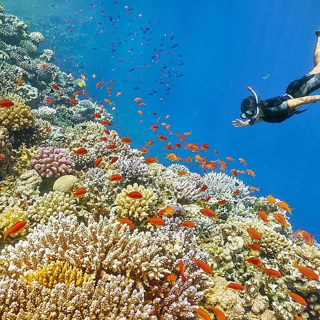 Scuba Diving
