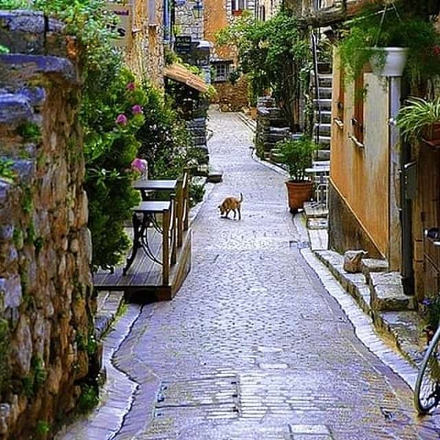 French Riviera & Medieval villages Full Day Private Tour