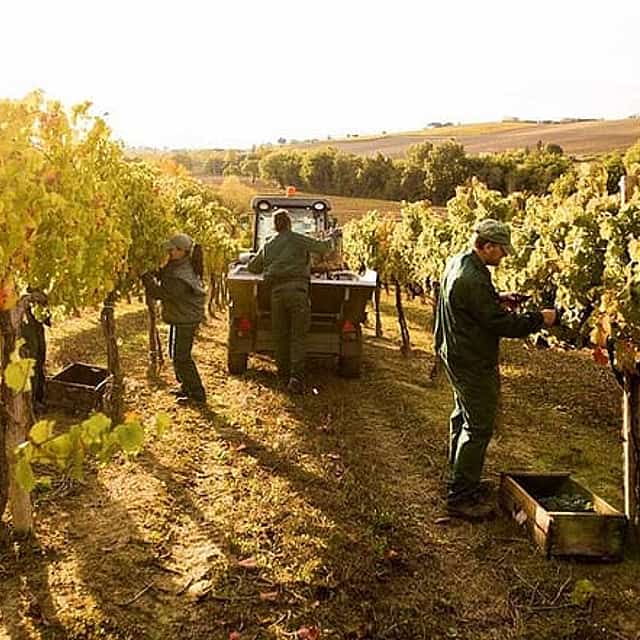 Exclusive Private Assisi & Sagrantino di Montefalco Wines from Florence