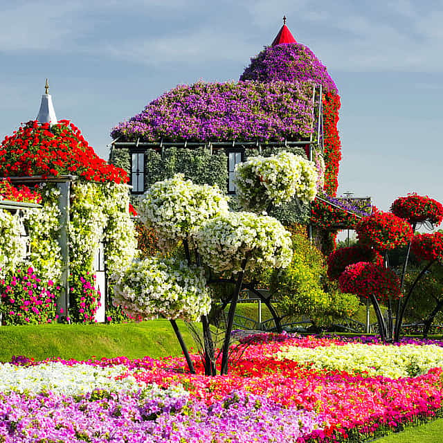 Dubai Combo Fairy Tail Global Village with Miracle Garden