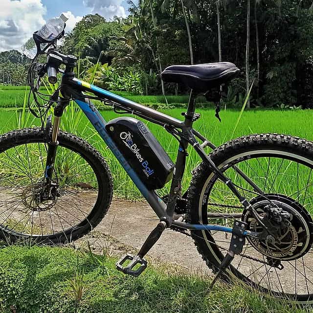 Sanur to Ubud E-cycling Adventure