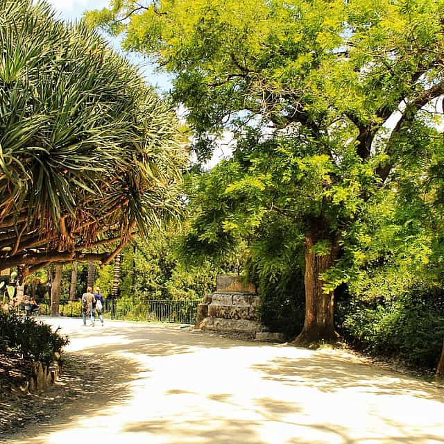 Principe Real und Botanischer Garten – Private Tour