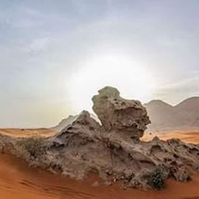 Safari Mattutino nel Deserto con il Giardino delle Api