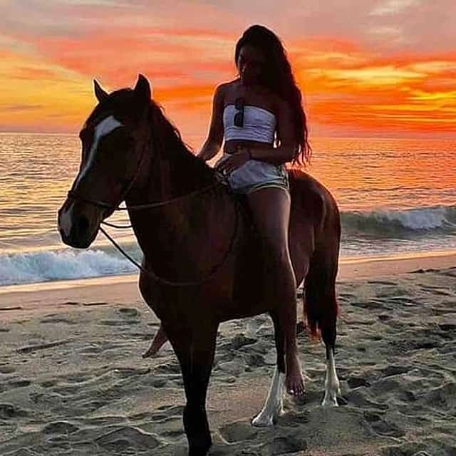 Horseback Riding on the Beaches of Holbox