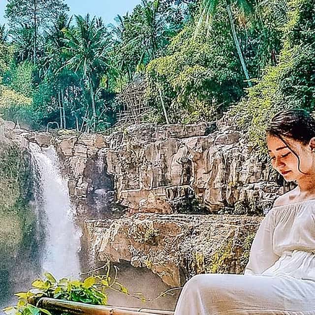 Waterfall Escape and Babi Guling Treat