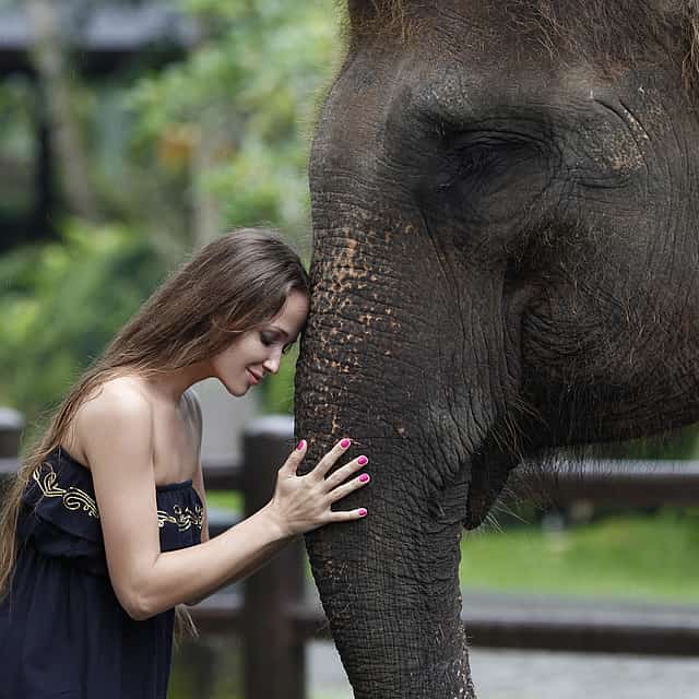 Bali Elephants Safari Park