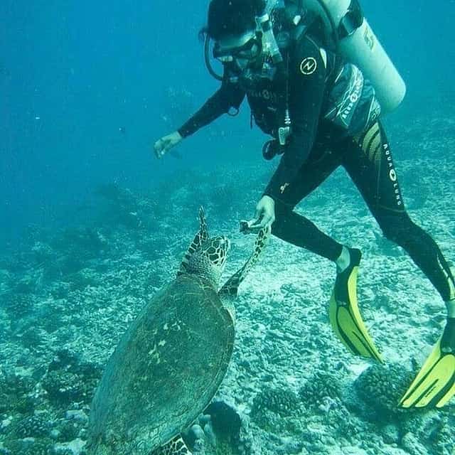Explore Submerged Treasures: Scuba Diving Experience in Djerba
