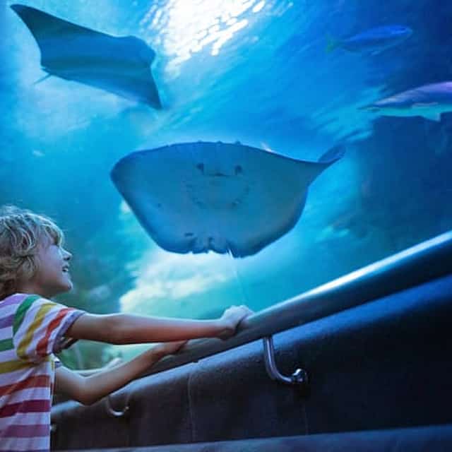 Antalya: Aquarium, Wax Museum & Combo Package Options