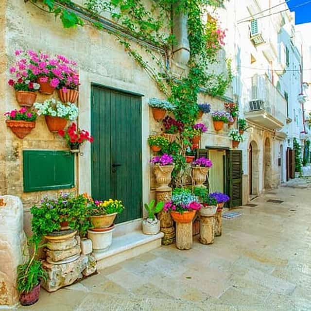 Naples to Bari Private Transfer with English-Speaking Driver