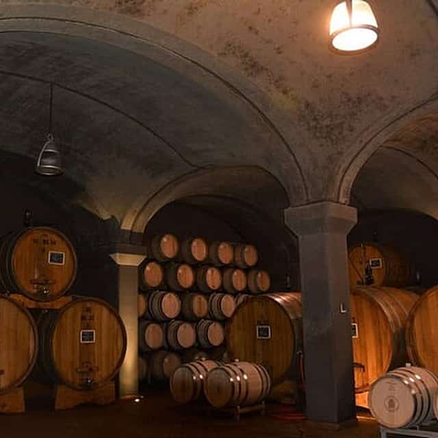Exclusive Private Brunello di Montalcino Experience from Florence