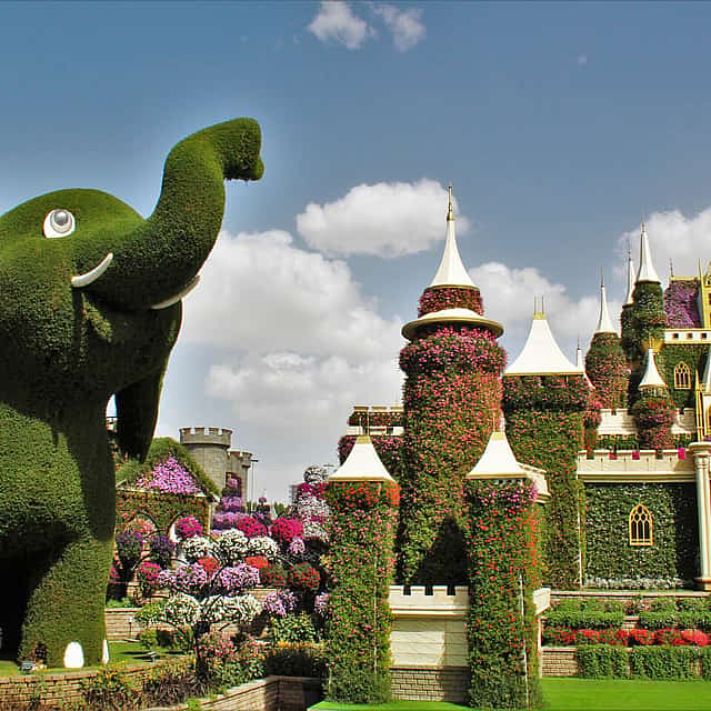Private Transfer from Ajman to Dubai Theme Parks