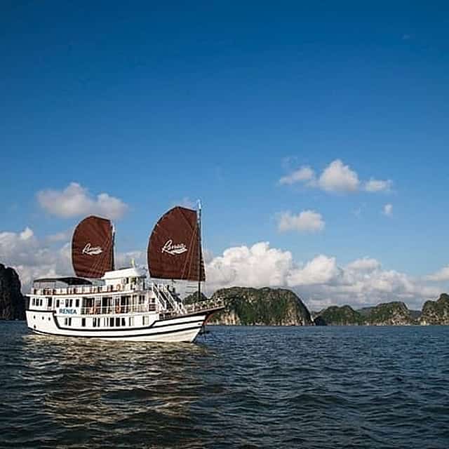 Hanoi: Renea Cruises- BEST 2 Days 1 Night Trip in Bai Tu Long Bay