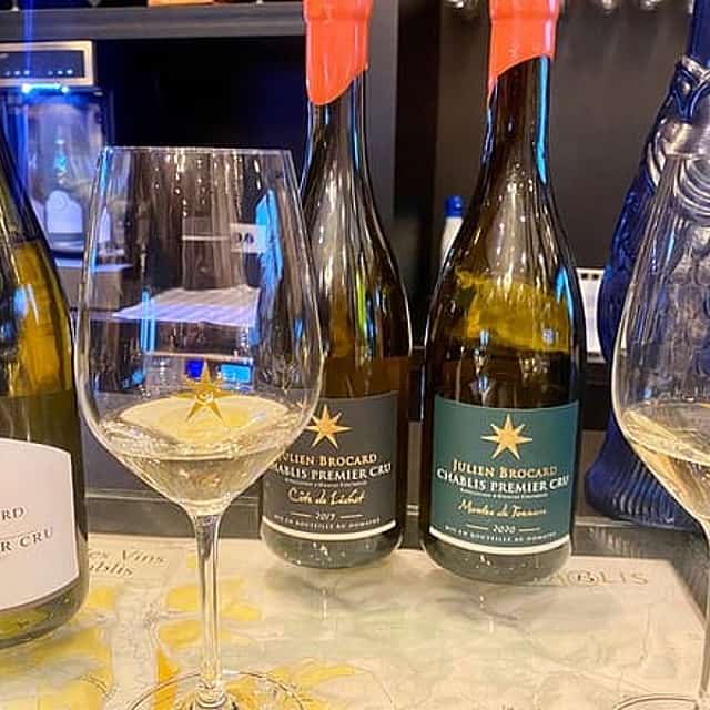 Private Exquisite Red & White Burgundy Wines Trip from Paris.