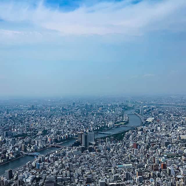 Tokio Tour: Shinjuku, Shibuya, Asakusa (1-5 osob)