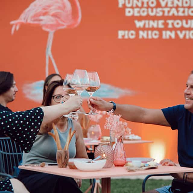 Wine Tour and Tasting of 4 Rosè Valtenesi Wines in Polpenazze