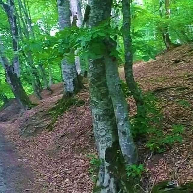 Aventure en montagne en Touchette : 3 jours de circuit en jeep et nature