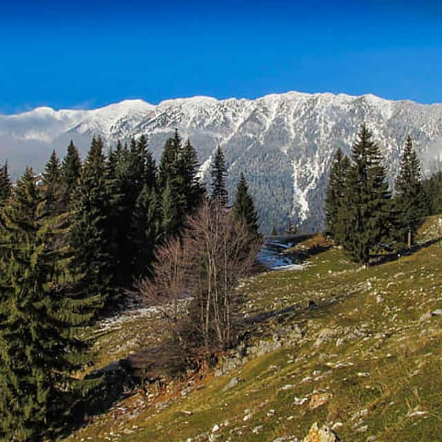 Jednodenní výlet do pohoří Piatra Craiului a na hlavní hřeben