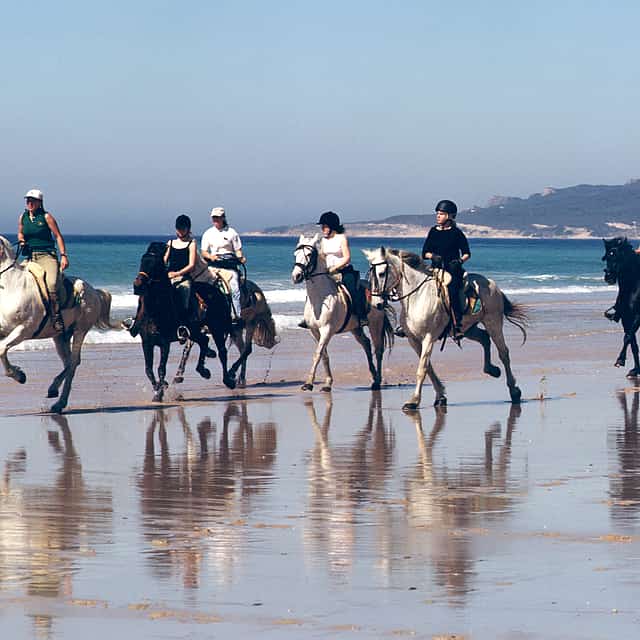 Seaside Horse Riding 30 minutes