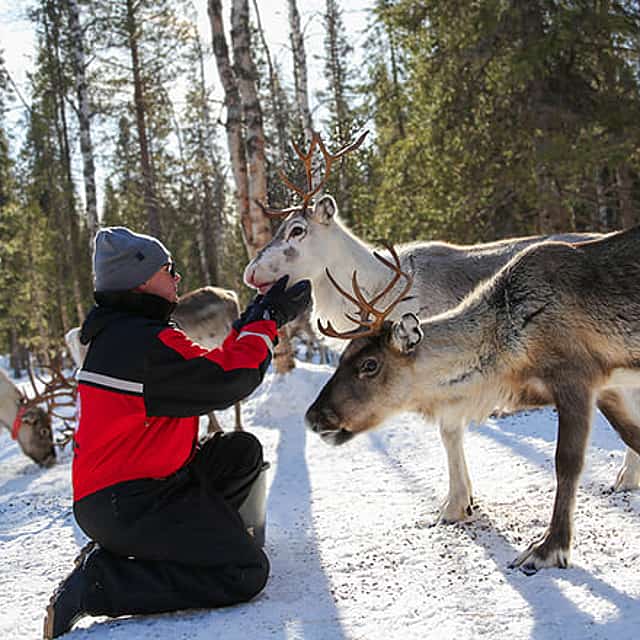 Reindeer Herder’s Day in the Wilderness — snowmobile sled & soup lunch, Levi