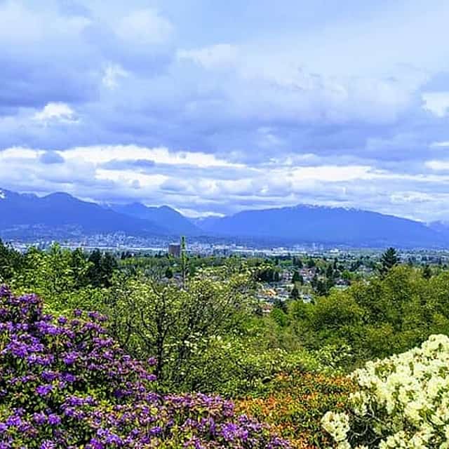 Vancouver Half Day City Tour Private