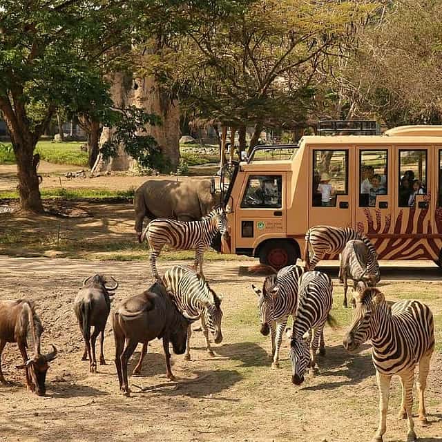 Bali Safari Jungle Hopper Experience with Safari Tram